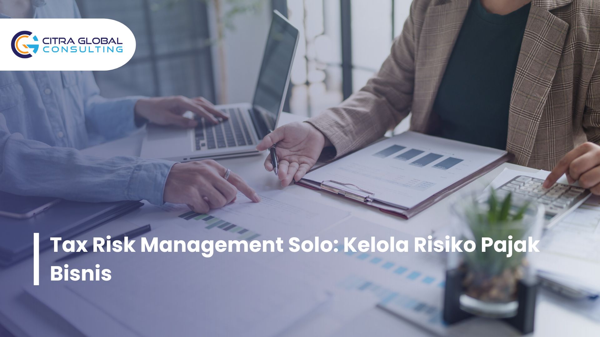 tax risk management Solo